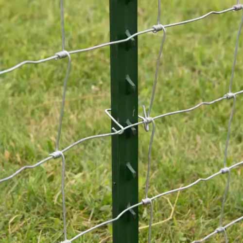 Hot dipped galvanized wire mesh with knots 50 m cattle sheep fence roll